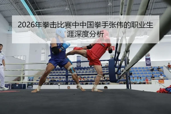 nian-quan-ji-bi-sai-zhong-zhong-guo-quan-shou-zhang-wei-de-zhi-ye-sheng-ya-shen-du-fen-xi-2-332.jpg