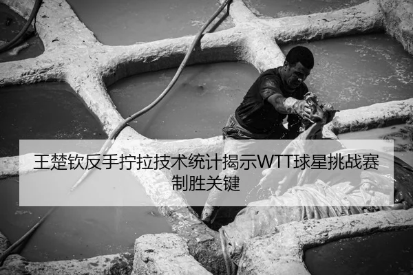 王楚钦反手拧拉技术统计揭示WTT球星挑战赛制胜关键
