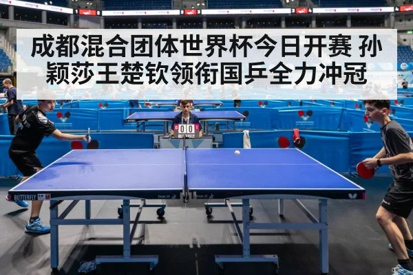 成都混合团体世界杯今日开赛 孙颖莎王楚钦领衔国乒全力冲冠